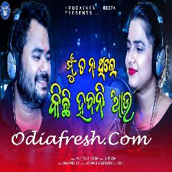 Mu Ta Na Thile Kichhi Habani Aau